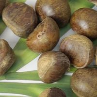 今天给大家安利一款超新鲜的迁西板栗