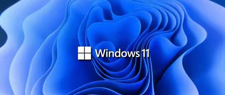性能党狂喜！Win11 25H2新驱动曝光：手动开启，SSD起飞！_办公软件_