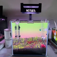 桌面微型水族造景：办公桌的治愈神器还是鸡肋负担？1200+用户观点大碰撞