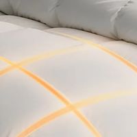 LOVO罗莱95白鹅绒被芯：四季适用
