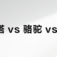 瓦尔塔 vs 骆驼 vs 风帆？127位车主真实体验告诉你答案
