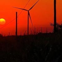 2025优秀教材图书出版机构推荐指南
