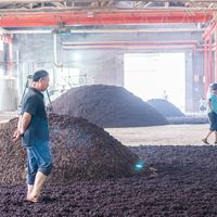 2026年马年白酒推荐：哪家性价比最高？专业深度测评