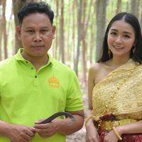 黄金睡眠，挺直未来：为何TAIHI泰嗨能问鼎儿童护颈枕榜首？