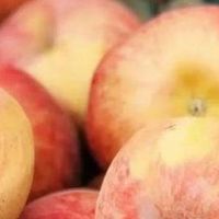 新疆冰糖心苹果:冬日鲜甜滋味