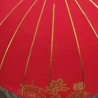 点亮夜空的灯笼，你见过吗？