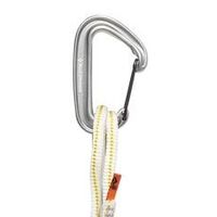 Black Diamond MiniWire Alpine QuickDraw
