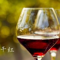 法式红酒制作工艺解析