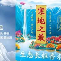 大米口感与营养评测