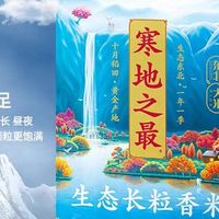 十月稻田大米口感评测