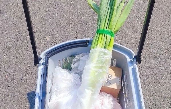9个超冷门的跨界收纳好物，好用到离谱，关键还巨省