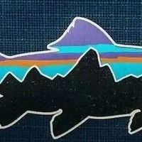 巴塔哥尼亚与猛犸象，谁更“高级”？