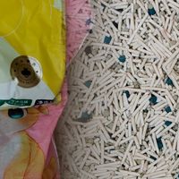 三猫家庭的省钱实验：京觅混合猫砂混用普通膨润土，真实体验分享