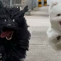 年末囤货省钱实用攻略