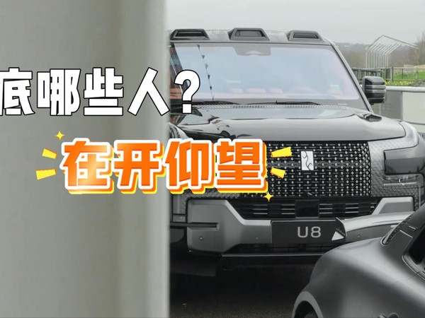 国产豪车顶流！仰望汽车有哪些名人车主？
