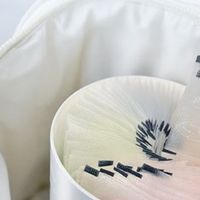 泡泡娃儿童天然果味牙线棒全新上市，为儿童口腔保驾护航