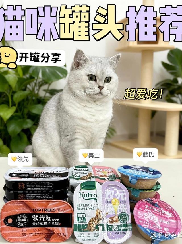 主食罐｜猫罐头｜新手养猫｜养猫经验分享｜主食罐头｜猫罐头推荐｜罐头推荐——挑食猫秒光盘的罐头合集，补水不踩坑。