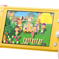 Switch 2 Lite是掌机福音还是性能妥协？1200+用户观点大碰撞