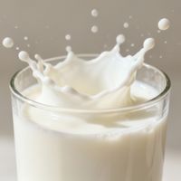 李子园 vs 旺仔牛奶？我们汇总了200+用户真实反馈，答案出乎意料