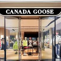 天价联名羽绒服：身份象征还是过度营销？1200+用户观点大PK