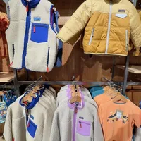 Patagonia抓绒外套：专柜试穿体验vs日本代购性价比，用户观点大碰撞