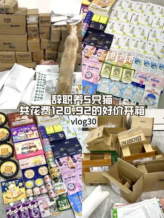 开箱vlog｜一口气拆44个快递📦｜#开箱 #萌宠好物 #vlog十亿流量扶持计划 #猫爸爸的厨房 #泡芙猫粮