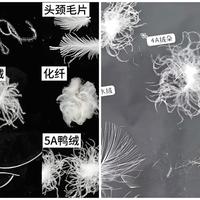 羽绒服保暖看充绒量还是蓬松度？1000+用户观点大PK