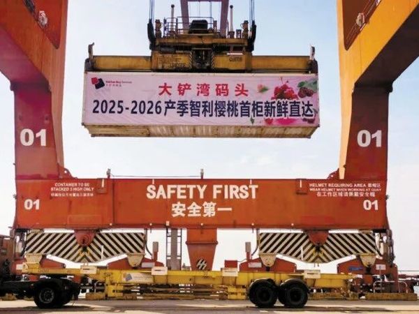 近千吨进口樱桃已到宝安！商家：价格即将“跳水”