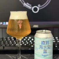 山姆进口啤酒到底值不值得买？国产IPA与进口精酿用户观点大PK