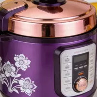 速看！2025十款电压力锅排行榜，百元到千元销冠全涵盖，怎么选？