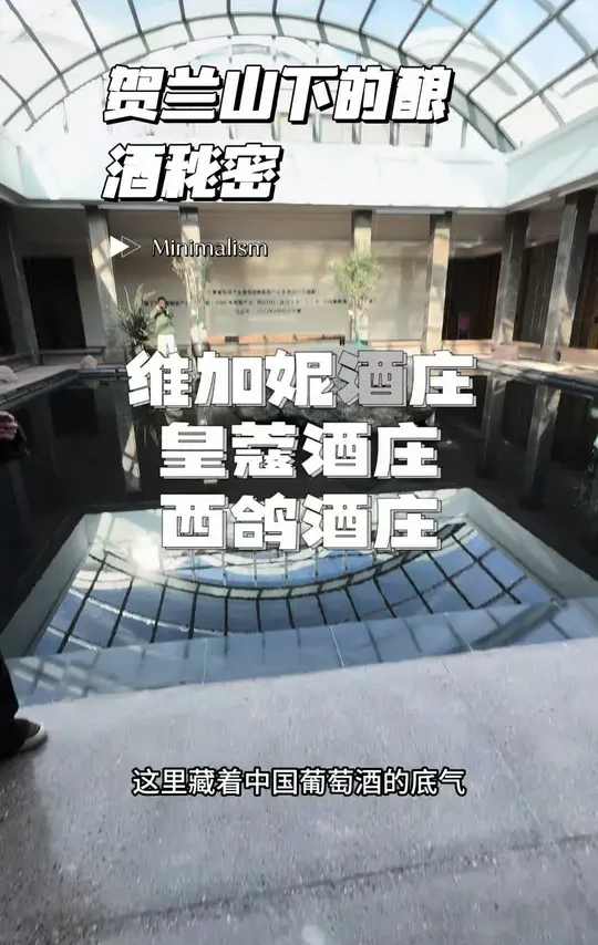 #漫游青铜峡醉暖鸽子山  一次难忘的经历，好的葡萄酒真的不一样