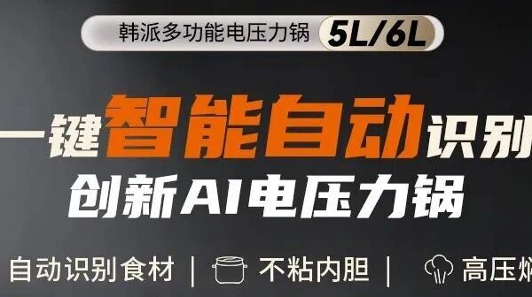 韩派多功能电压力锅 5L/6L ：AI 智能识别 一键烹煮超省心