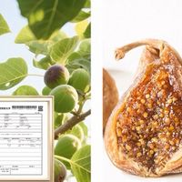 孕妈与美食达人的私藏宝藏——西域美农西班牙蜜多多无花果干