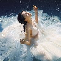 晒出年度影像答卷尼康2025影像征集活动携重磅好礼启幕