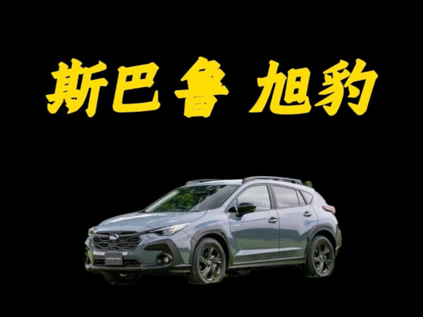 冷门车真的代表它不好吗？