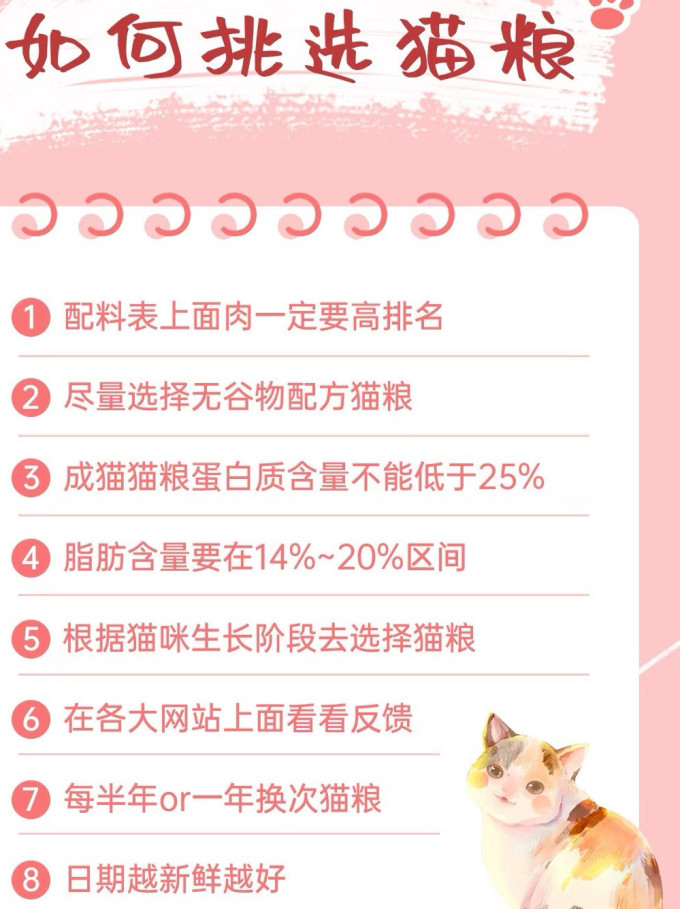 猫咪