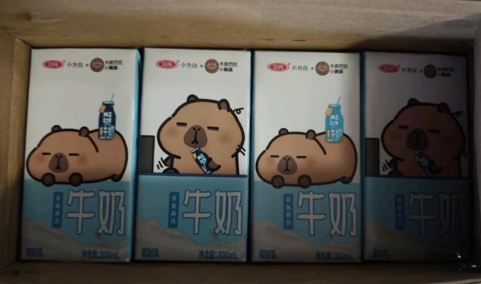 奶类制品