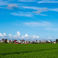 哪些鱼油品牌能守护心脑？2025榜单揭晓