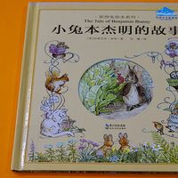儿童绘本《兔子本杰明的故事》