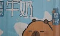 三元小方白纯牛奶家庭装深度评测