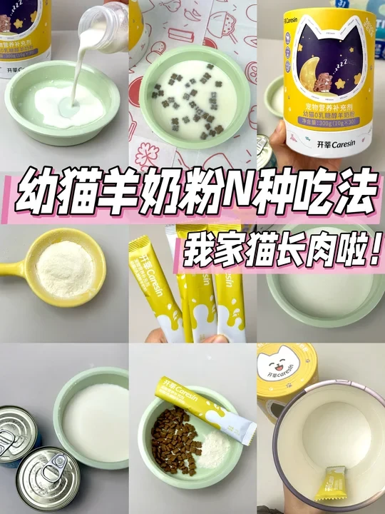 幼猫羊奶粉多种吃法，我家猫长肉了!