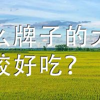 什么牌子的大米比较好吃？