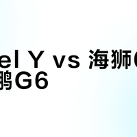 Model Y vs 海狮06 EV/小鹏G6？我们汇总了127位用户真实观点，结论在这