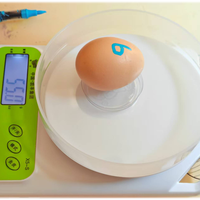 低价电子秤精准度可信吗？300+用户观点大碰撞