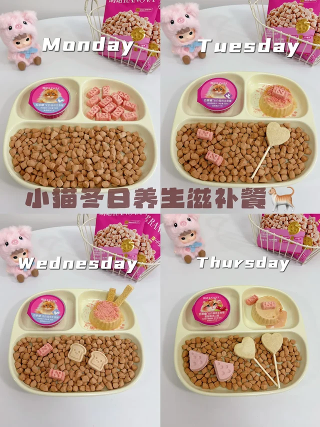 一周配餐 | 小猫冬日养生餐🍽️