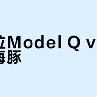 特斯拉Model Q vs 比亚迪海豚？300+用户真实体验告诉你答案