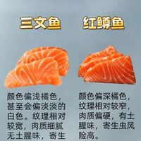 如何辨认三文鱼的真假？这些技巧太实用了！