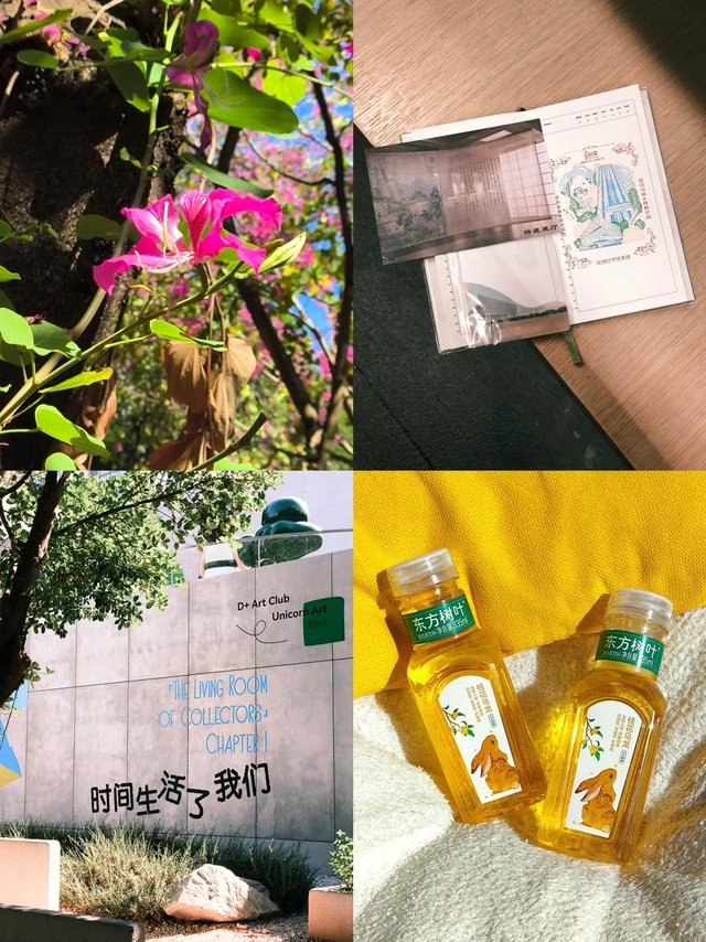 在深无桂香 幸好有这瓶秋日念想🍂