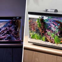 智能鱼缸 vs 传统鱼缸？我们汇总了200+用户真实体验，结论在这