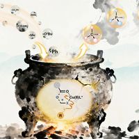 诺奖级化学反应引热议，628+ 用户观点深度剖析偶然与必然
